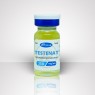 Testosterone Enanthate 250mg/ml - Testenat | Apoxar
