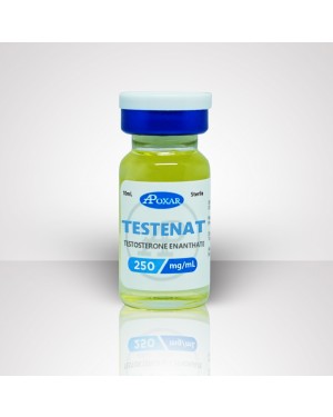 Testosterone Enanthate 250mg/ml - Testenat | Apoxar