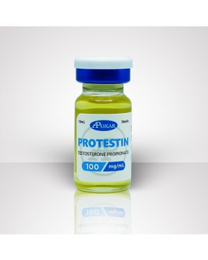Testosterone Propionate 100mg/ml - Protestin | Apoxar