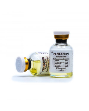 Pentanon (Testosterone Mix) 300mg/mL, 5 mL | Innovagen